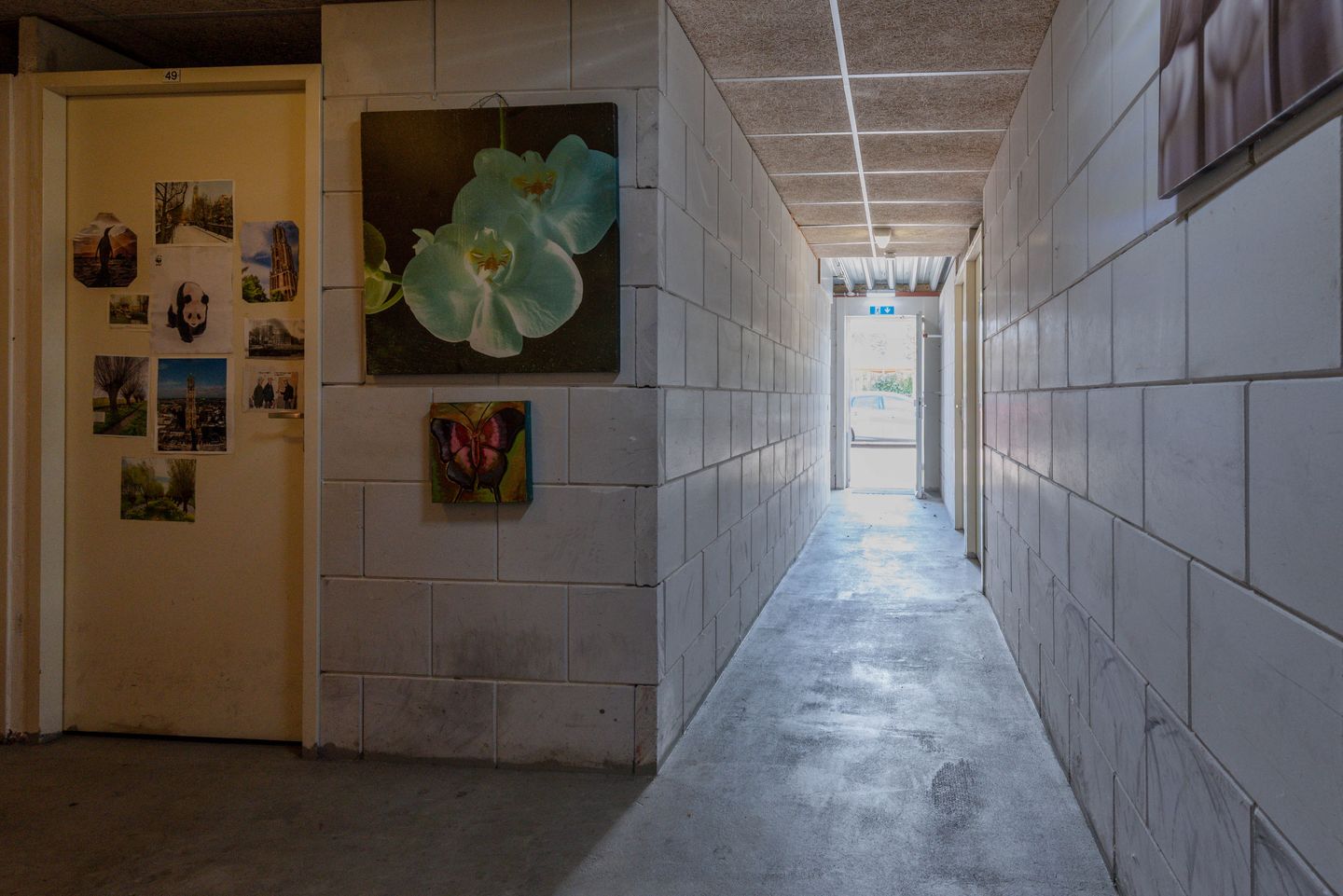 Foto 25 van Maertensplein 73