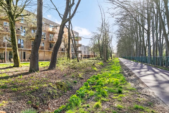 Foto 37 van Elsthof 66