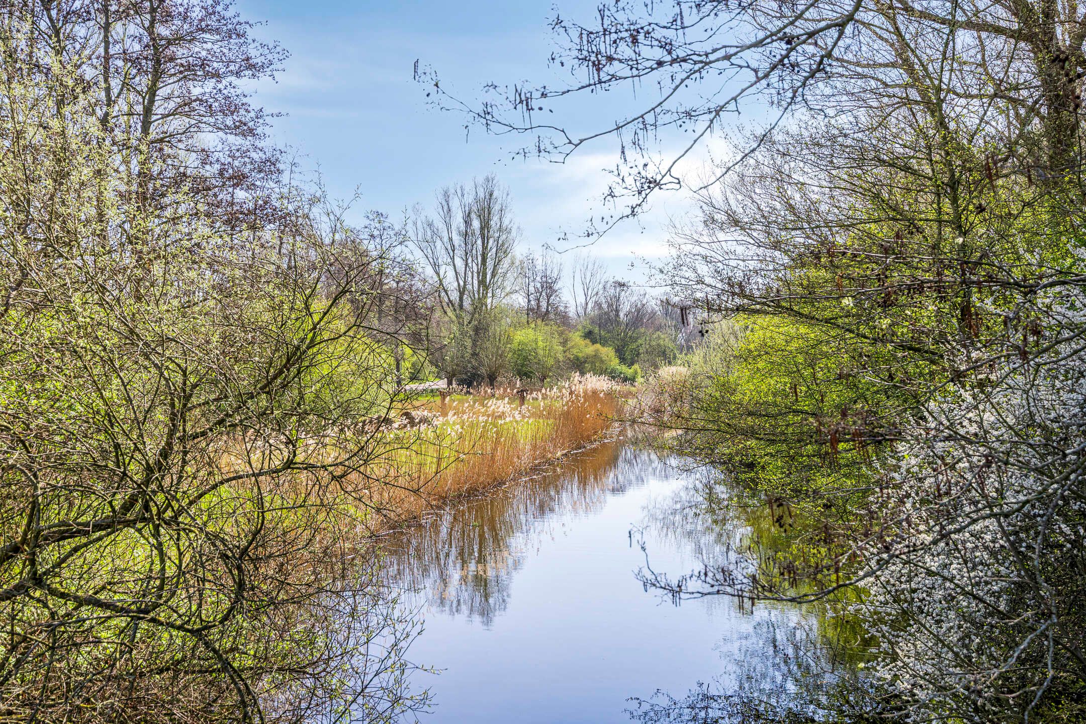 Foto 36 van Gieterij 11