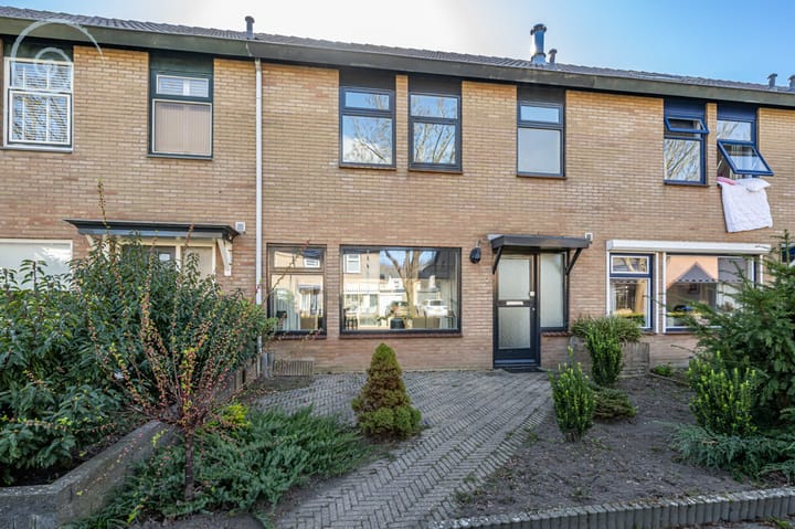 Foto 2 van Tulpenpad 3