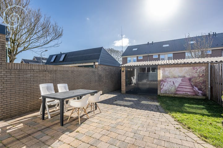 Foto 3 van Tulpenpad 3