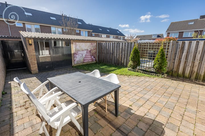 Foto 4 van Tulpenpad 3