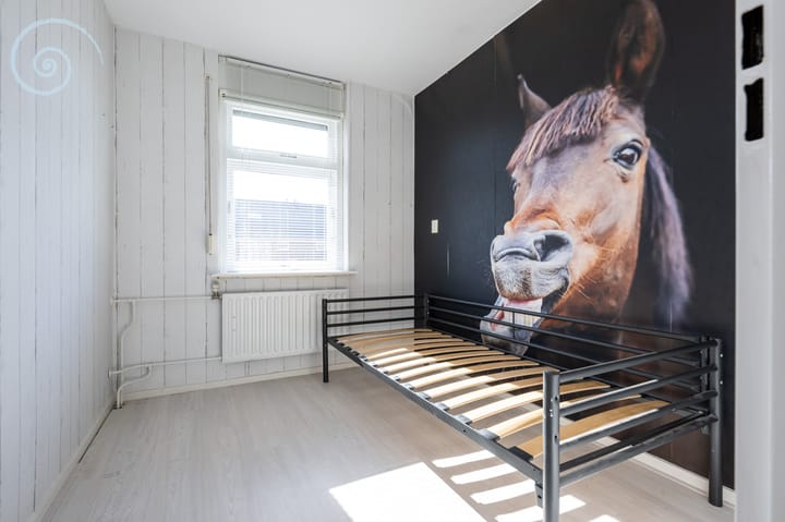 Foto 18 van Tulpenpad 3