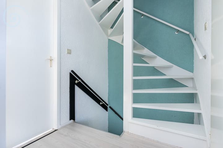 Foto 21 van Tulpenpad 3