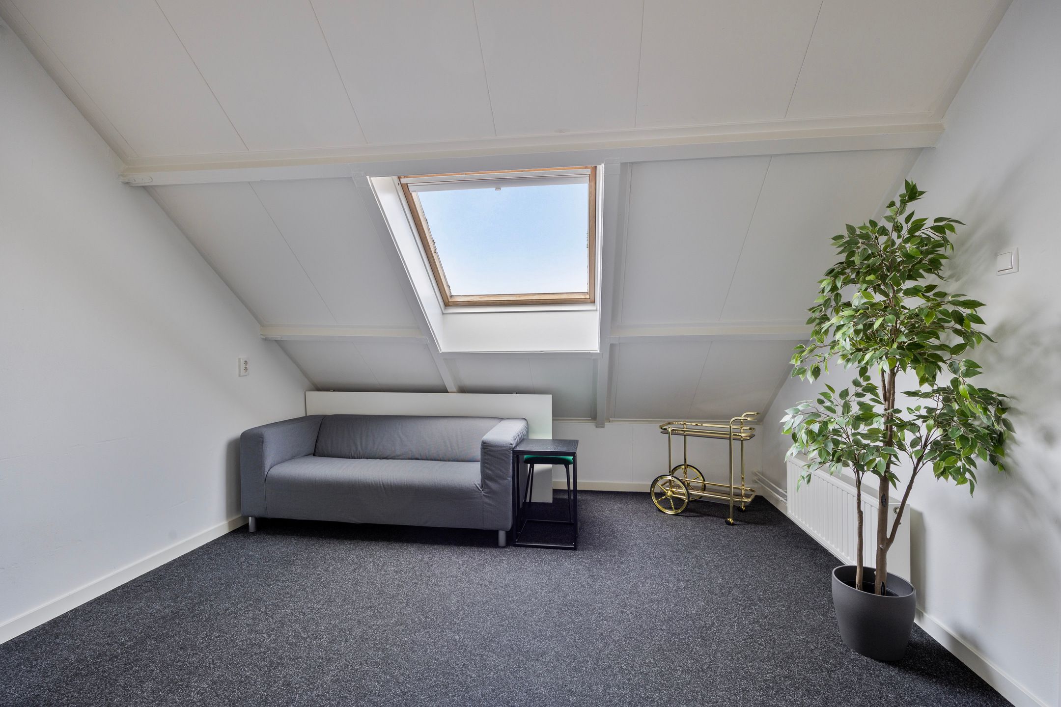 Foto 24 van Brederolaan 13