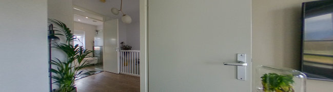 foto8