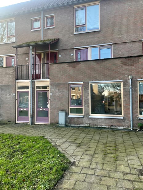 undefined main image