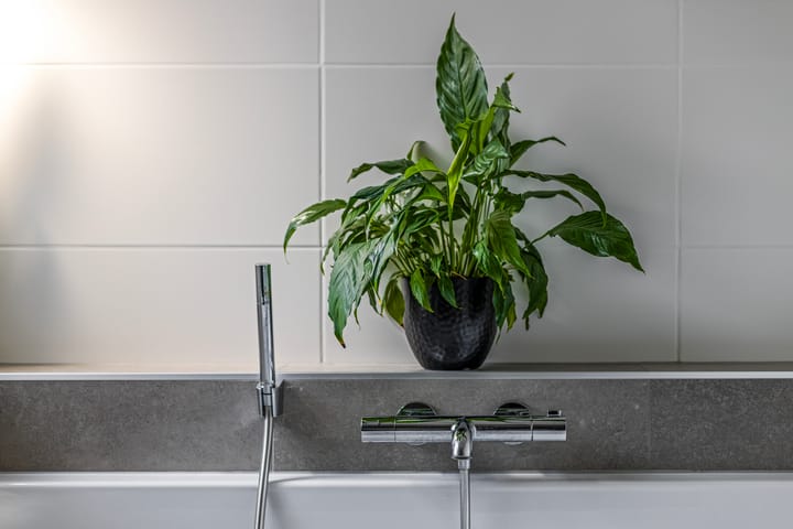 Foto 27 van Hof van Voorne 15