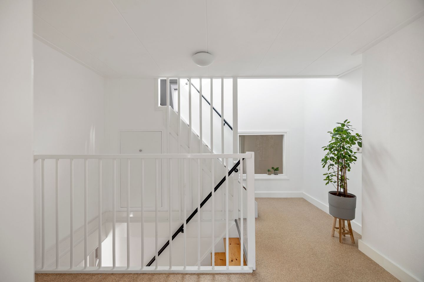 Foto 14 van Molenstraat 49