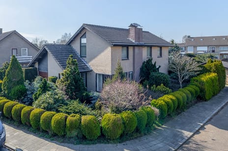 undefined main image