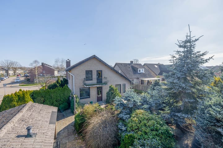 Foto 49 van van den Boomstraat 1