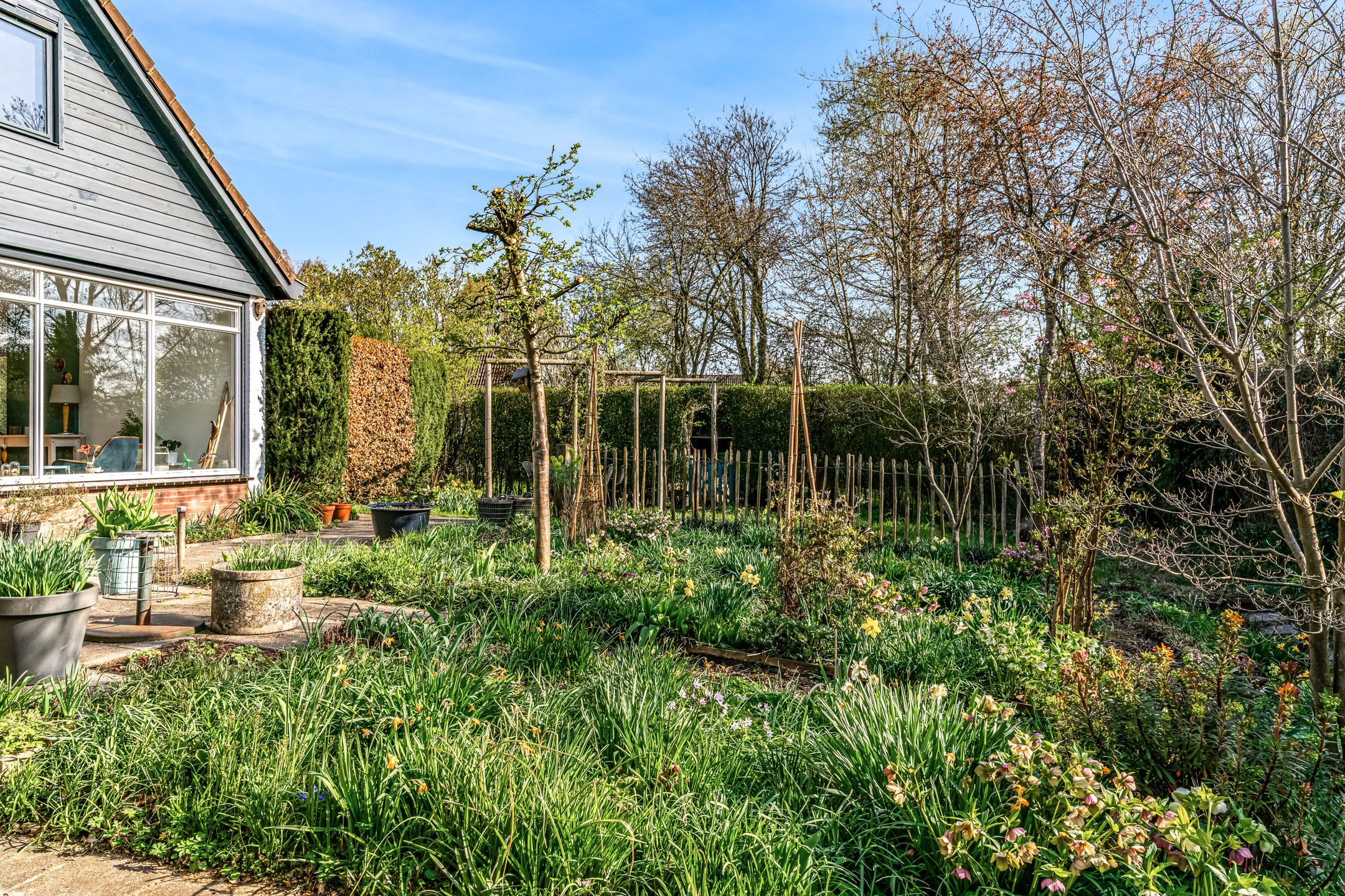 Foto 30 van A. Nieboerplein 10