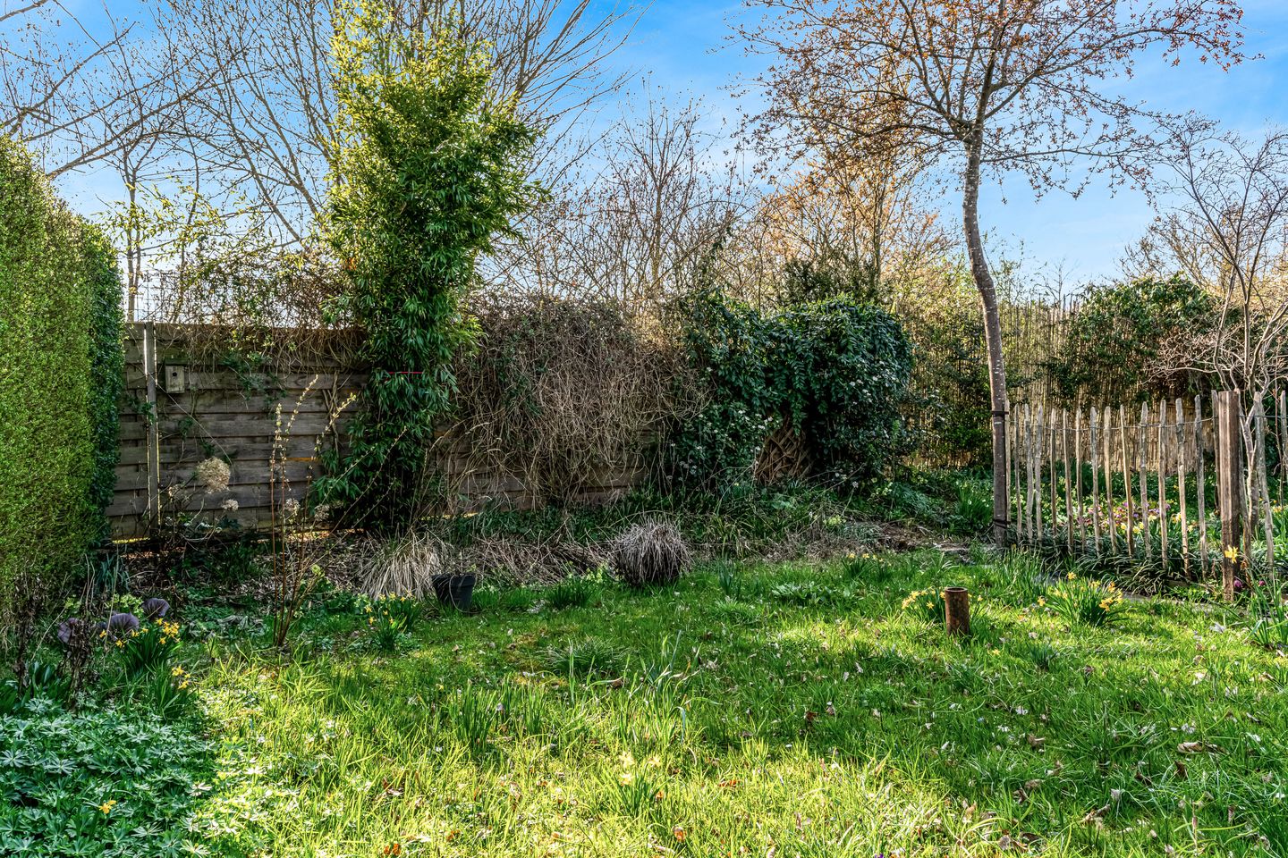 Foto 34 van A. Nieboerplein 10