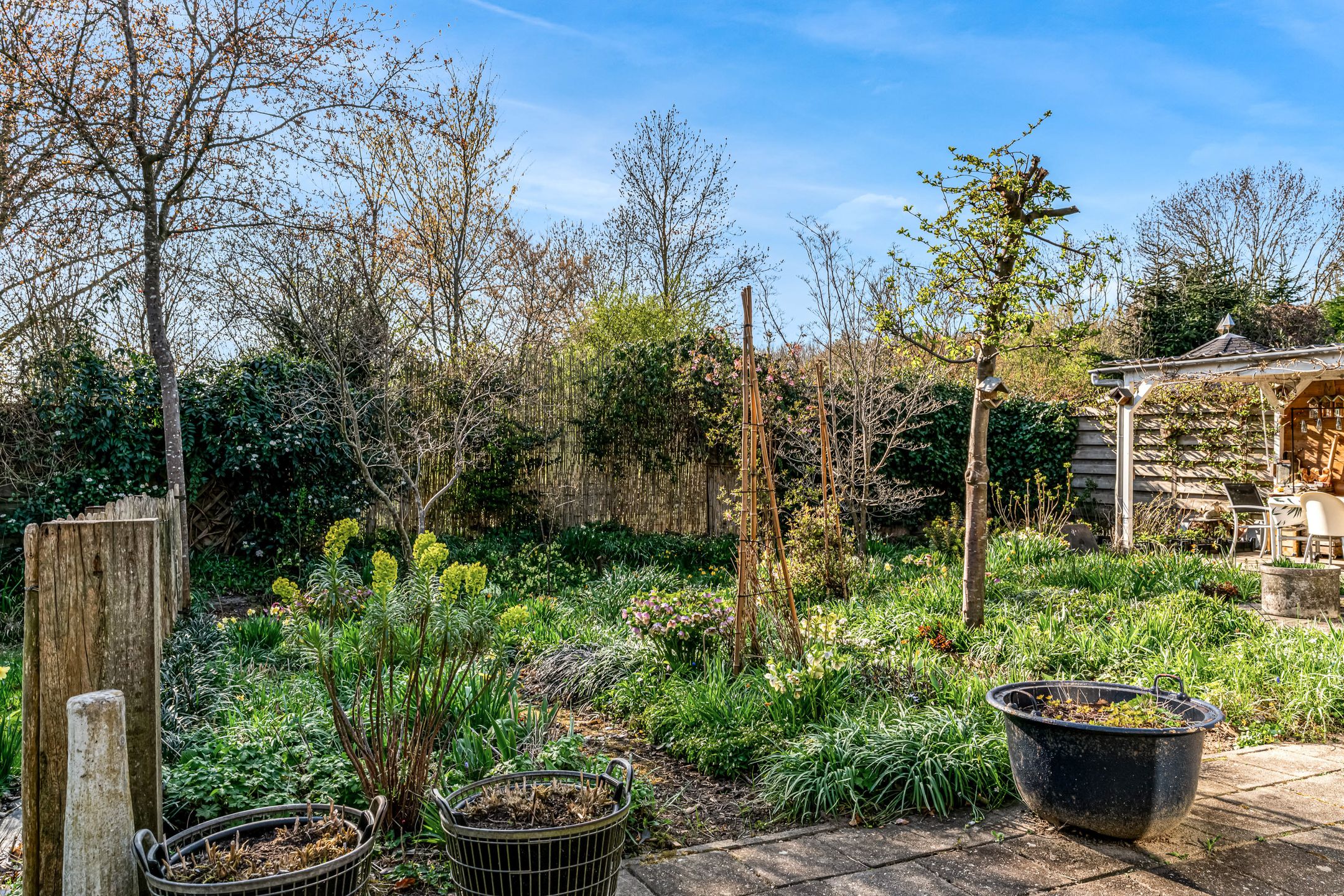 Foto 36 van A. Nieboerplein 10