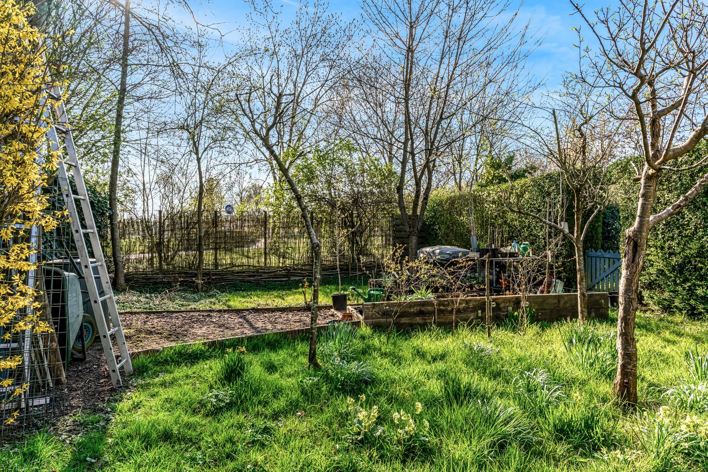 Foto 40 van A. Nieboerplein 10