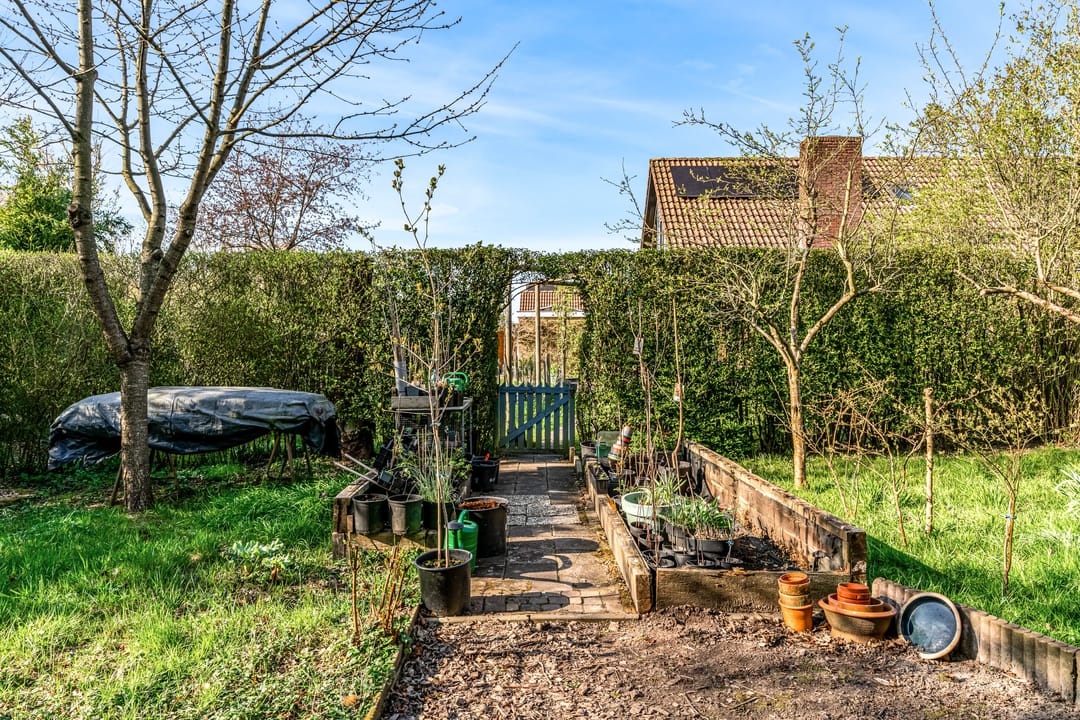 Foto 41 van A. Nieboerplein 10