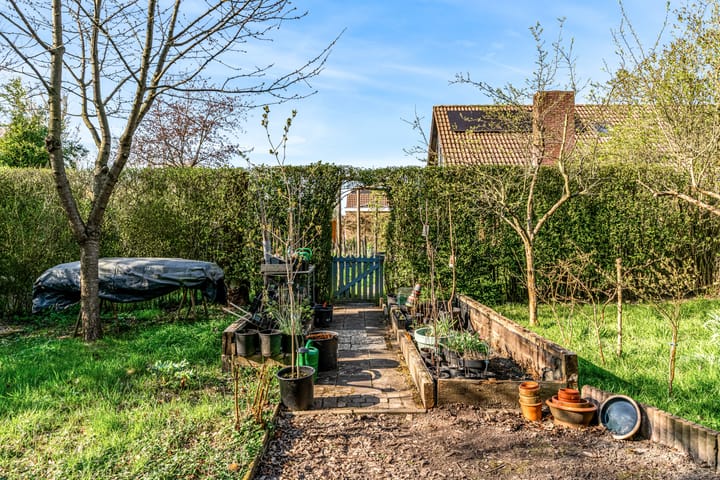 Foto 41 van A. Nieboerplein 10