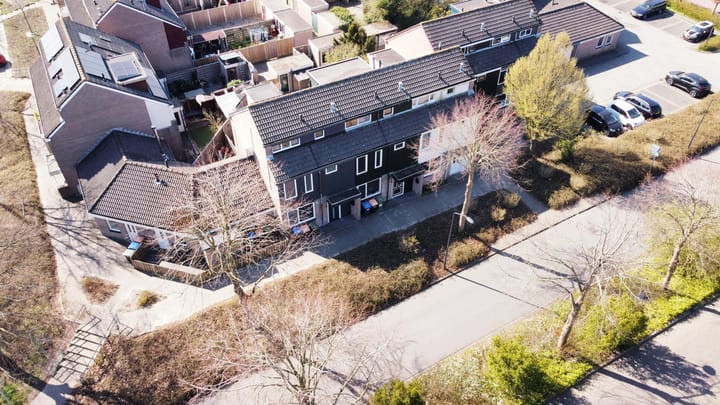 Foto 51 van Punter 14 1-B