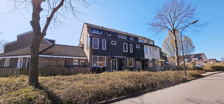 Foto 1 van Punter 14 1-B