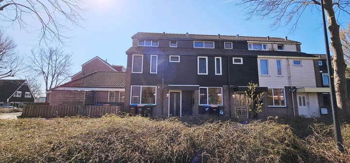 Foto 50 van Punter 14 1-B