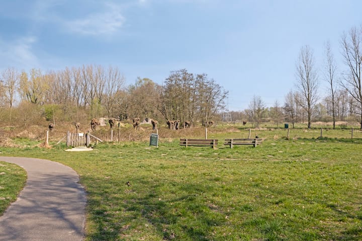 Foto 24 van Udinestraat 35