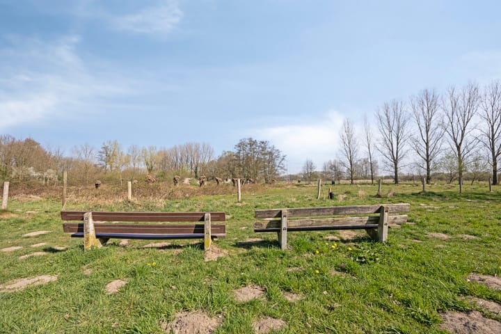 Foto 27 van Udinestraat 35