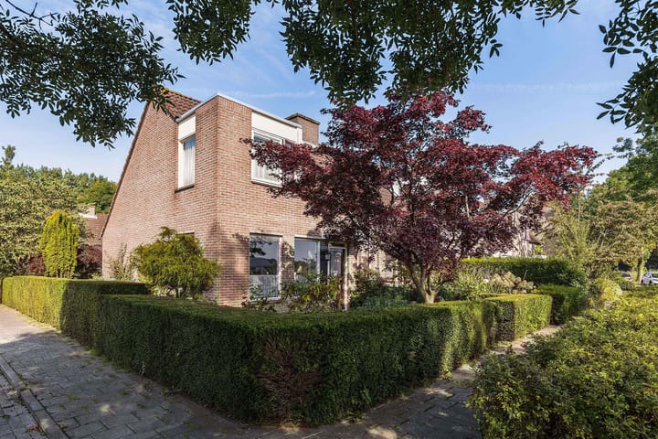 Foto 2 van het Jacht 1