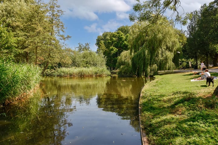 Foto 24 van Ceintuurbaan 252-1