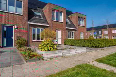 undefined main image