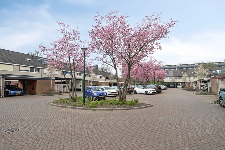 Foto 28 van Houtsnipwal 36