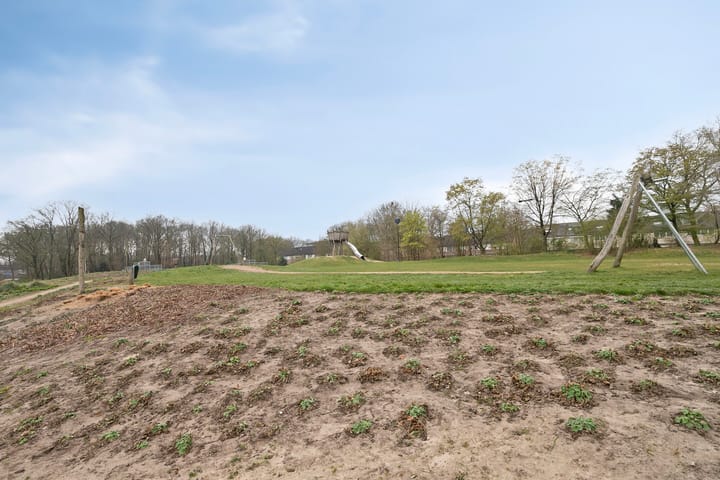 Foto 30 van Houtsnipwal 36