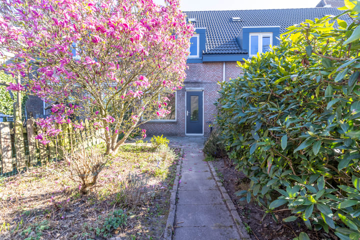 Foto 2 van Turfstreek 110