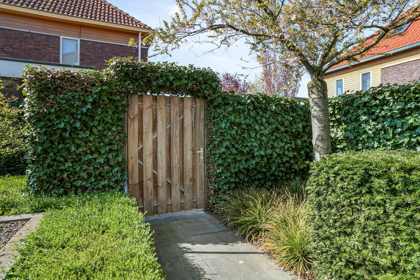 Foto 59 van Koos Veraartstraat 16