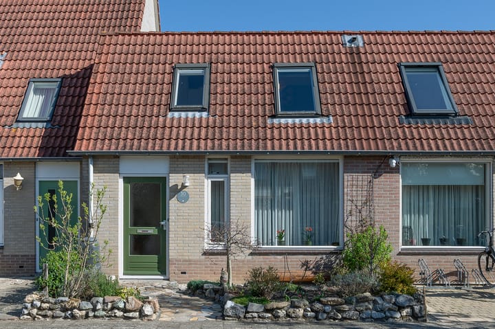 Foto 1 van Distelvlinder 30