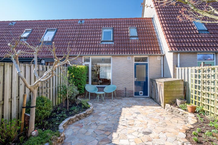 Foto 2 van Distelvlinder 30