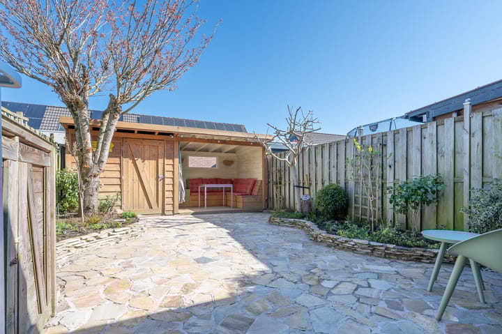 Foto 17 van Distelvlinder 30