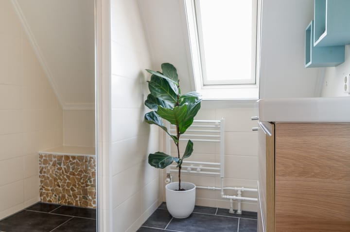 Foto 35 van Distelvlinder 30