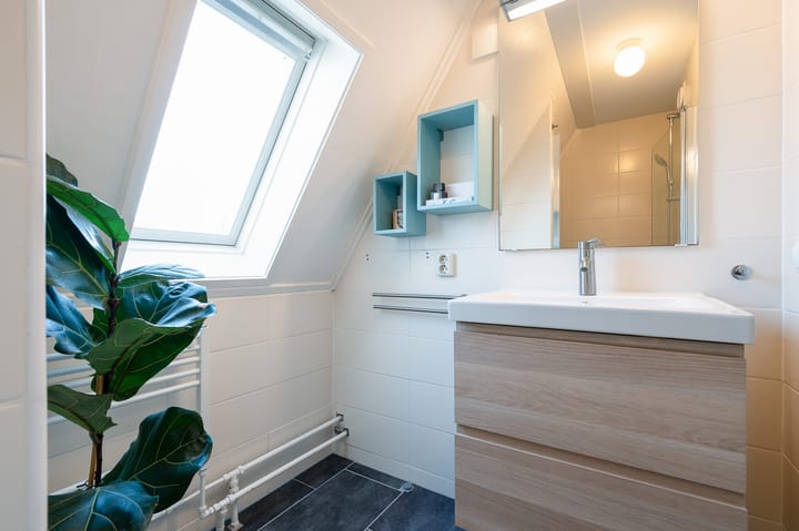 Foto 38 van Distelvlinder 30