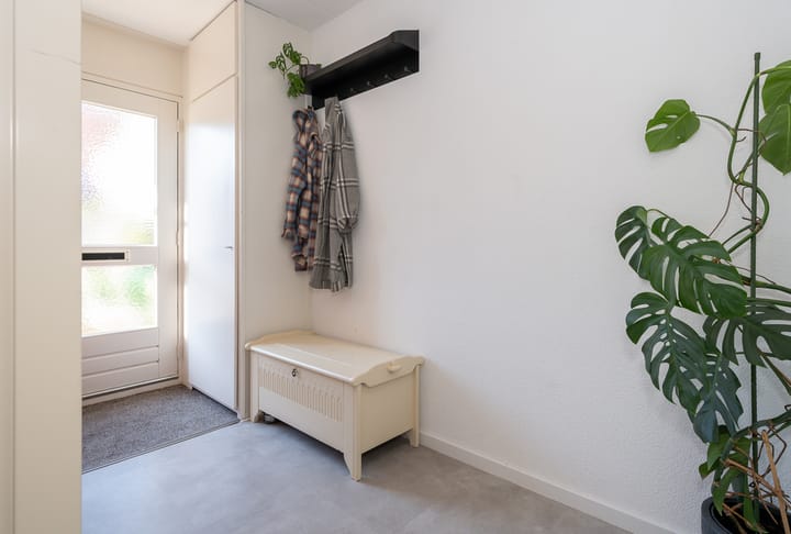 Foto 40 van Distelvlinder 30