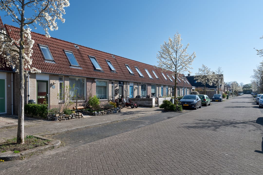 Foto 41 van Distelvlinder 30