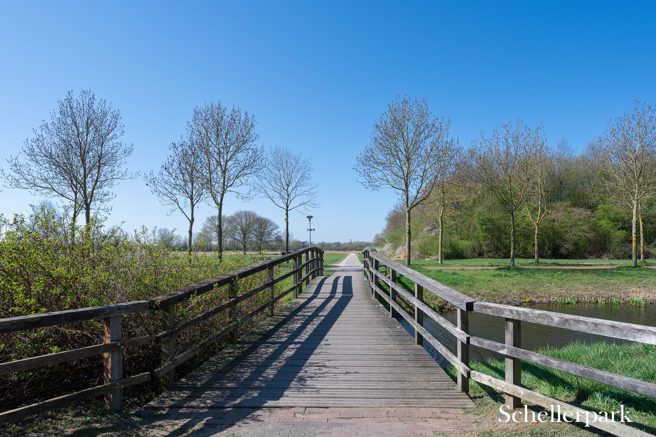 Foto 42 van Distelvlinder 30