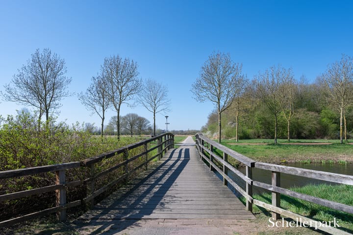 Foto 42 van Distelvlinder 30