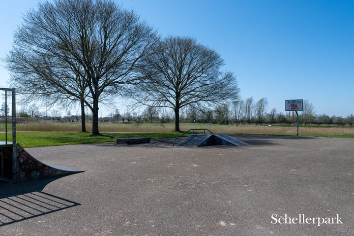 Foto 43 van Distelvlinder 30