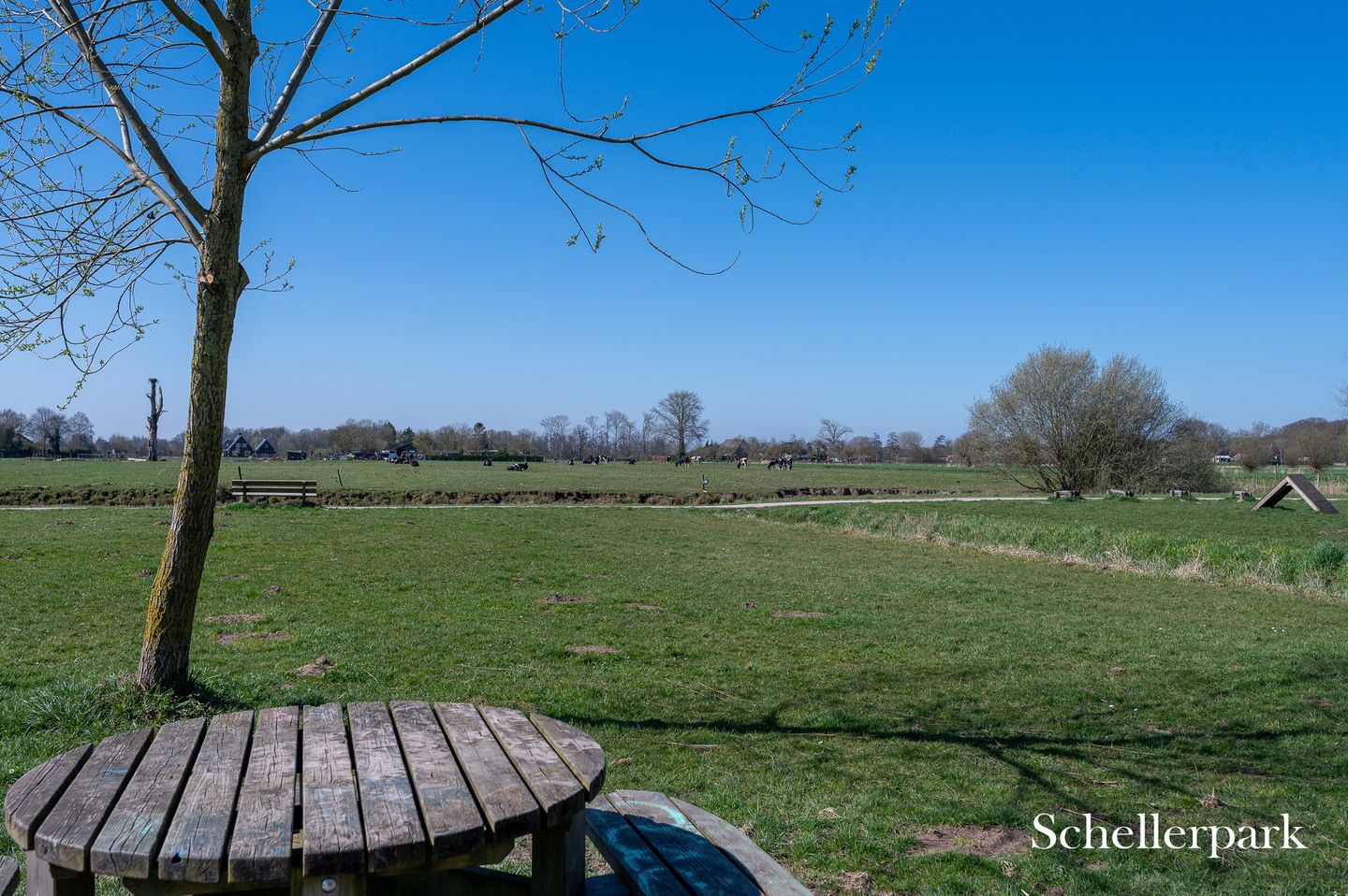 Foto 44 van Distelvlinder 30