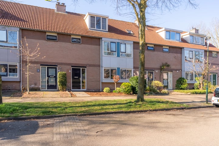 Bekijk foto van Florijnslag 8