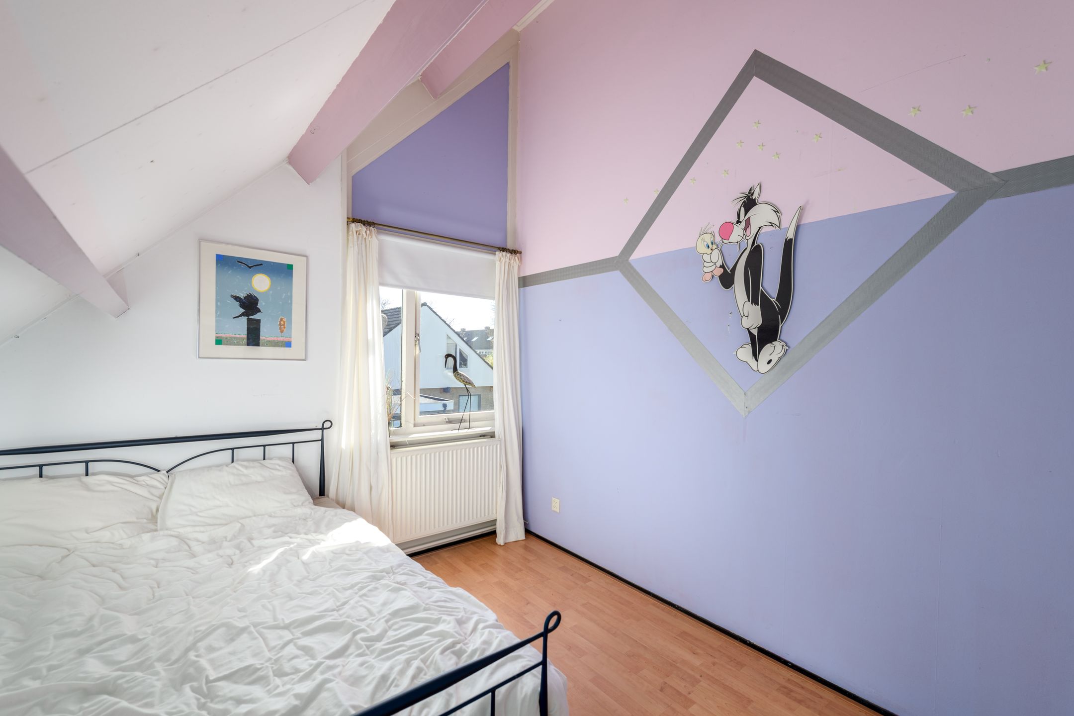 Foto 33 van Valeriaan 55