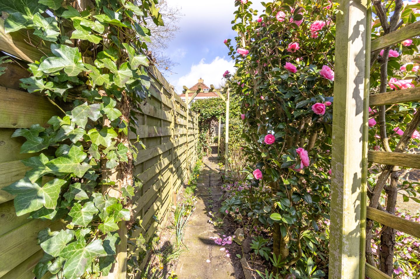 Foto 14 van Molenstraat 94