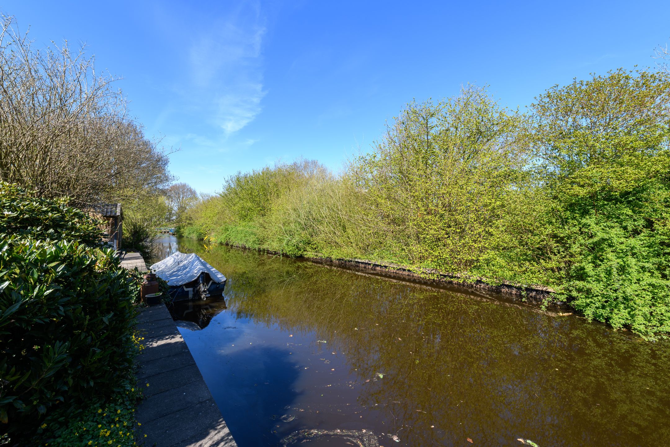 Foto 51 van Valeriaan 55