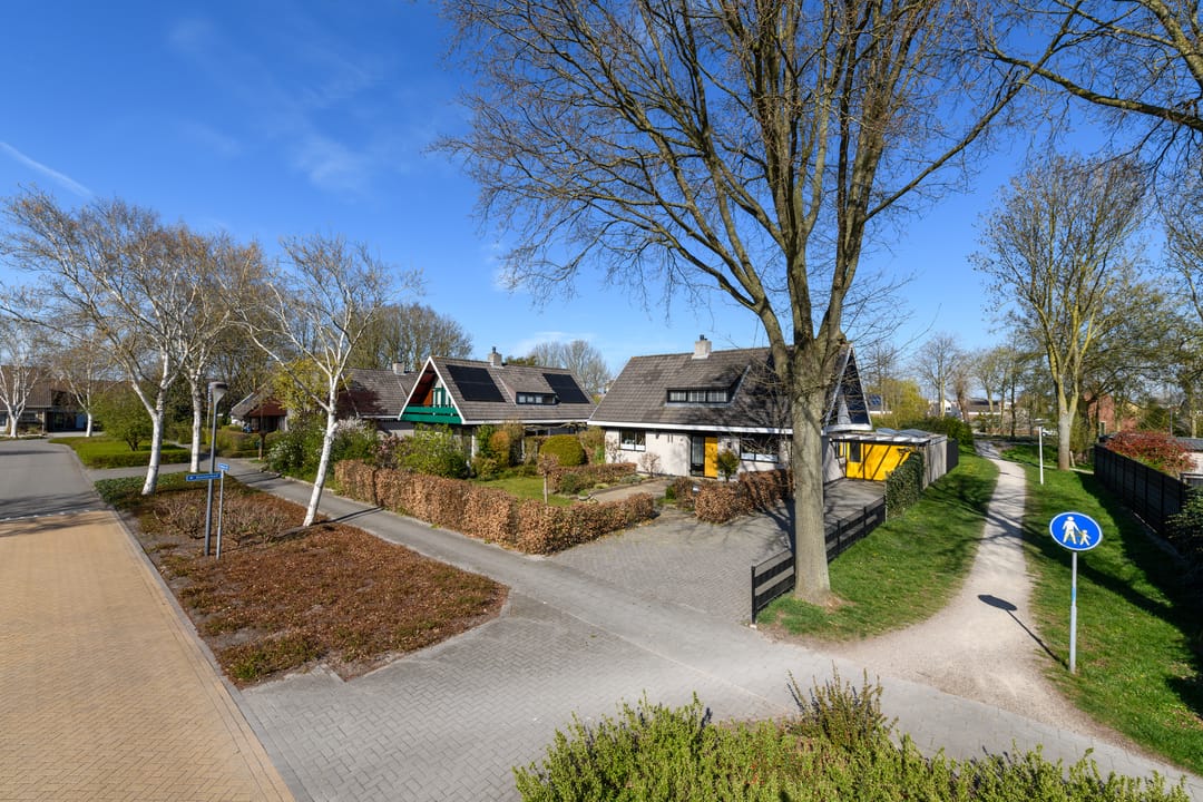 Foto 56 van Valeriaan 55