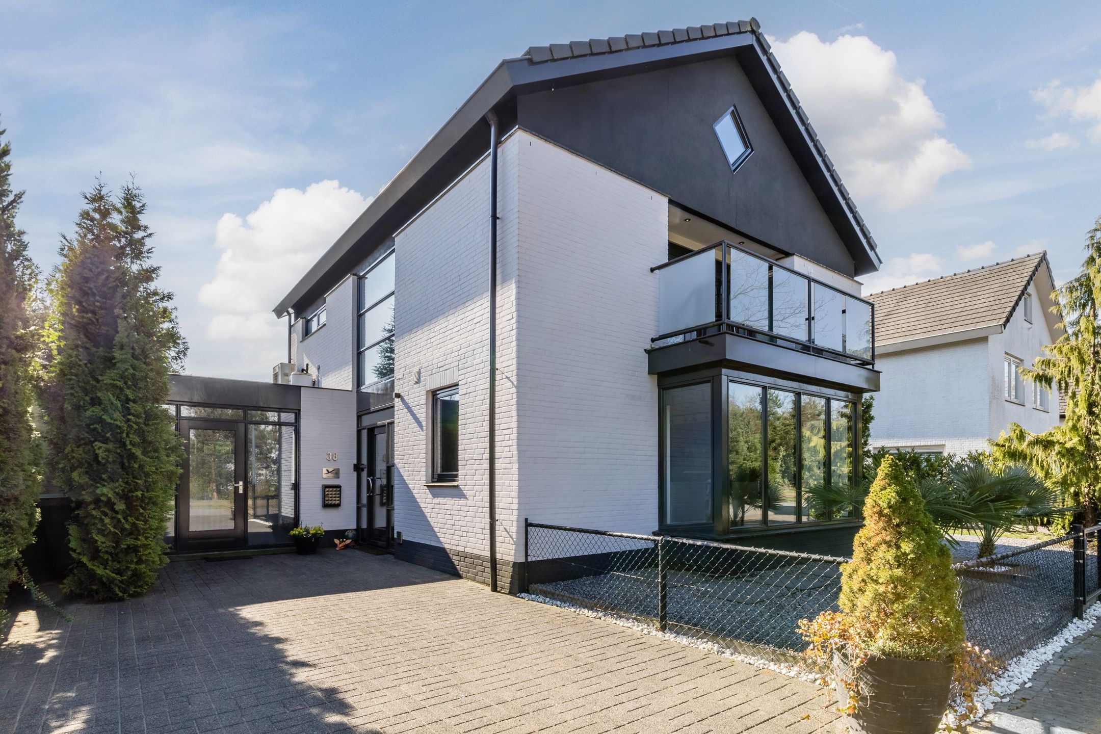 Foto 6 van Zandhagedis 38